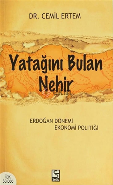 Yatağını Bulan Nehir: Erdoğan Dönemi Ekonomi Politiği